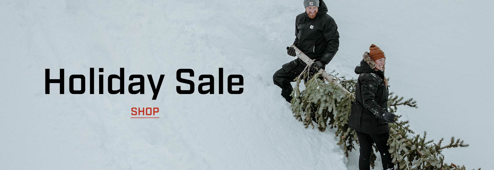 A couple carrying a pine tree through the snow. 