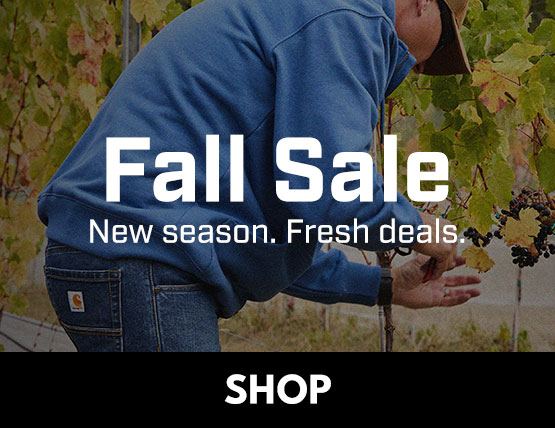 A man wearing a blue carhartt sweatshirt picking grapes in a vineyard