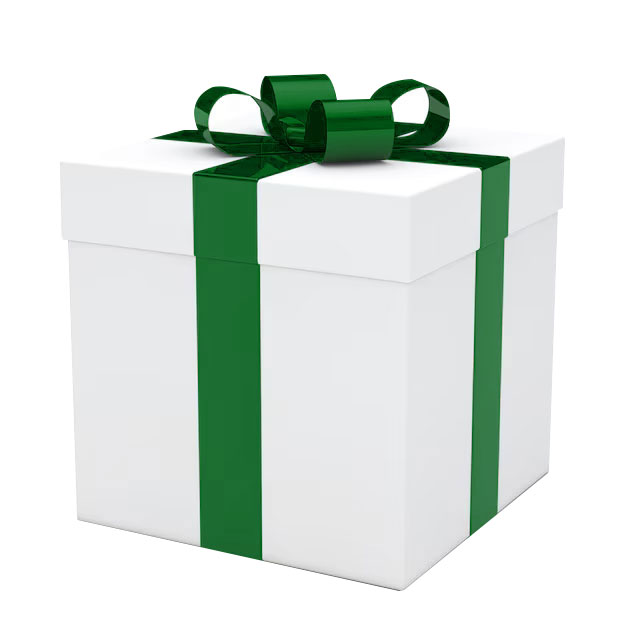 A wrapped up Christmas present