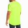 Lime Ariat 10031037 Back View Thumbnail