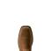 Ariat AR2485 Ariat AR2485 -
