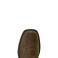 Ariat AR2411 Ariat AR2411 -