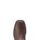 Brown Ariat 10020059 Top View - Brown