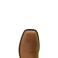 Earth Ariat 10074160 Top View Earth Ariat 10074160 Top View - Earth