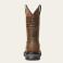 Distressed Brown Ariat 10036002 Back View - Distressed Brown