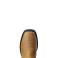 Ariat AR2309 - 