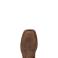 Bruin Brown Ariat 10017420 Top View - Bruin Brown
