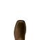 Ariat AR2491 - 