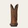 Brown Ariat 10021108 Back View - Brown