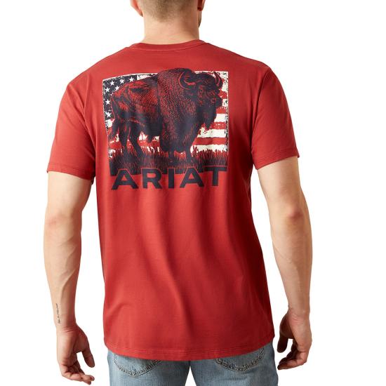 Brick Red Ariat 10065897 Back View