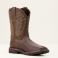 Brown Ariat 10020059 Right View - Brown