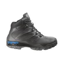 bates e02488