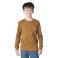 Carhartt Brown Carhartt CA6893 Front View - Carhartt Brown