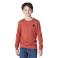 Burnt Brick Heather Carhartt CA6889 Front View - Burnt Brick Heather