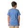 Blue Horizon Carhartt CA6797 Back View - Blue Horizon