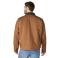 Carhartt Brown Carhartt 107818 Back View - Carhartt Brown