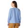 Workwear Blue Carhartt 107745 Back View Workwear Blue Carhartt 107745 Back View - Workwear Blue