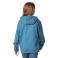 Hydro Wash Carhartt CA7206 Back View - Hydro Wash