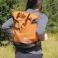 Carhartt Brown Carhartt 137901B Carhartt Brown Carhartt 137901B - Carhartt Brown