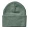 Laurel Wreath Carhartt CB9019 Back View - Laurel Wreath