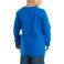 Lapis Blue Carhartt CA6575 Back View - Lapis Blue