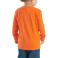 Orangeade Carhartt CA6572 Back View - Orangeade