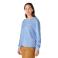 Workwear Blue Carhartt 107745 Left View Workwear Blue Carhartt 107745 Left View - Workwear Blue