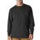 Black Carhartt 107259 Front View - Black