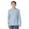 Hyrdo Heather Carhartt CA6902 Front View Hyrdo Heather Carhartt CA6902 Front View - Hyrdo Heather