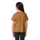 Carhartt Brown Heather Carhartt CA7173 Back View - Carhartt Brown Heather