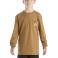 Carhartt Brown Carhartt CA6699 Front View - Carhartt Brown