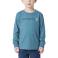 Hydro Carhartt CA6868 Front View - Hydro