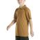 Carhartt Brown Carhartt CA6698 Front View - Carhartt Brown