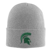 Carhartt 100911 - Grey Michigan State Hat