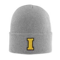 Carhartt 101015 - Grey Iowa Hat  