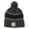 Dark Green Carhartt 102296 Front View - Dark Green