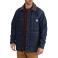 Denim Carhartt 102947 Front View - Denim