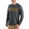 Shadow Carhartt 103571 Front View - Shadow