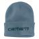 Thundercloud Carhartt 104068 Front View - Thundercloud