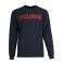 Navy Carhartt 105335 - Navy