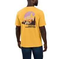 Carhartt 106581 - Relaxed Fit Heavyweight Short-Sleeve Denali National Park Graphic T-Shirt