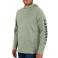 Sage Carhartt 106654 Front View - Sage