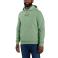 Loden Frost Carhartt 106655 Front View - Loden Frost