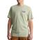 Sage Carhartt 106764 Front View - Sage