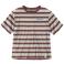 Barnwood Stripe Carhartt 106908 Front View - Barnwood Stripe