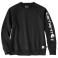 Black Carhartt 107078 Front View - Black