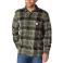 Forestry Green Carhartt 107829 Front View - Forestry Green