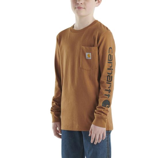 Carhartt Brown Carhartt CA6440 Front View
