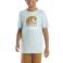 Clear Sky Carhartt CA6520 Front View - Clear Sky