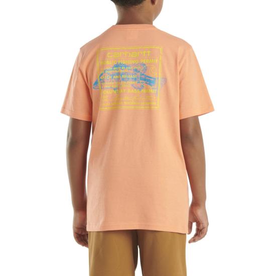 Fresh Salmon Carhartt CA6528 Back View